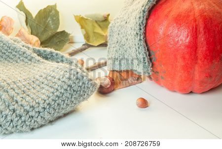 Autumn Decoration
