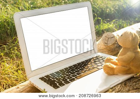 Laptop screen white clipping path outdoor and teddy bear