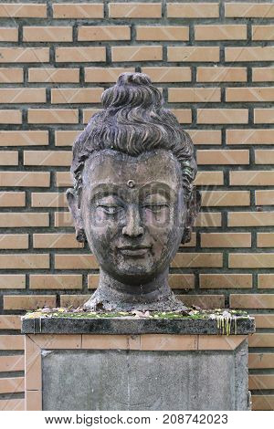 400 years old of ancient head stone buddha statue in the forest at historical museum Thailand, art crafting sculpture, head, face, lobe, ear, hair, nose