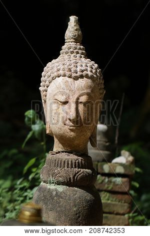 400 years old of ancient head stone buddha statue in the forest at historical museum Thailand, art crafting sculpture, head, face, lobe, ear, hair, nose