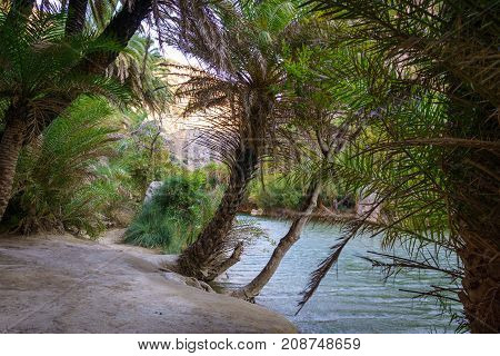 View of river near Preveli beach river and palm forest southern Crete Greece