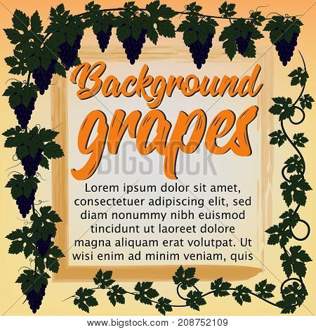 Illustration of the decorative grapes background and border