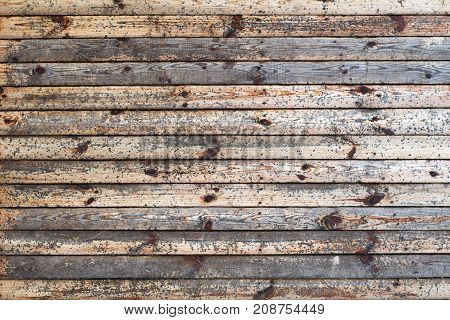 Old small wooden boards eaten by shipworm