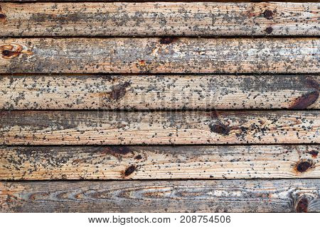 Old small wooden boards eaten by shipworm