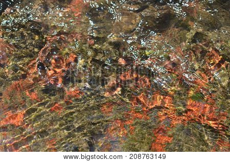 Fresh River Water And Colorful Bottom