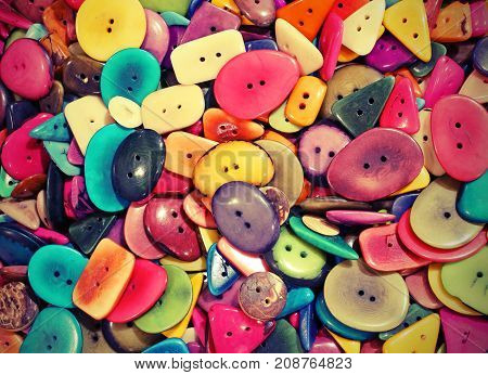 Buttons Made With Dried Tropical Plants Seeds