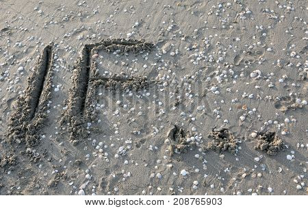 Text If On The Sand Of The Sea Waiting To Be Erased By The Water