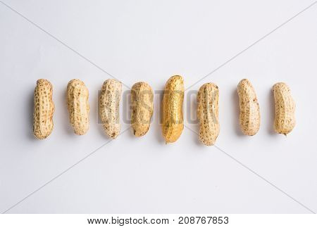 Concept of individuality, luck,value,exclusivity and better choice. Golden peanut or ground nut, standing out amongst normal peanuts, over black or white background
Concept of individuality, luck,value,exclusivity and better choice. Golden peanut or groun