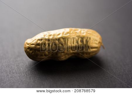 Concept of individuality, luck,value,exclusivity and better choice. Golden peanut or ground nut, standing out amongst normal peanuts, over black or white background
Concept of individuality, luck,value,exclusivity and better choice. Golden peanut or groun
