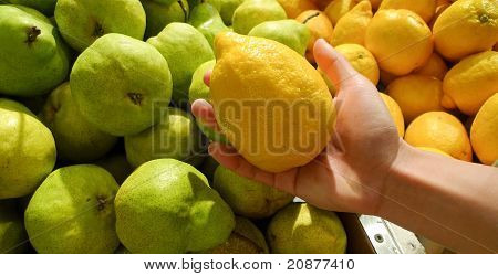 Holding A Lemon At Fruit Stall
