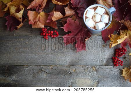 Autumn Cocoa With Marshmellows