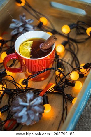 Christmas Festive Concept
