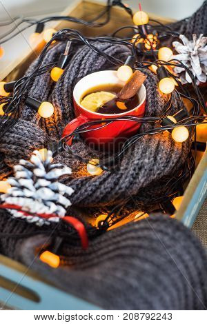 Christmas Festive Concept