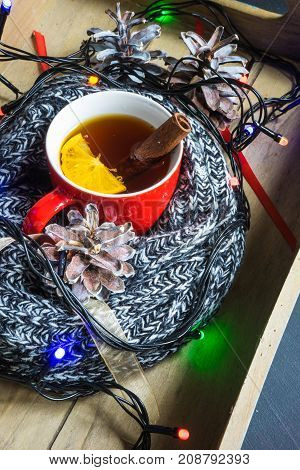Christmas Festive Concept