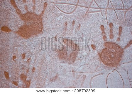 Frost on the wall with traces of palm