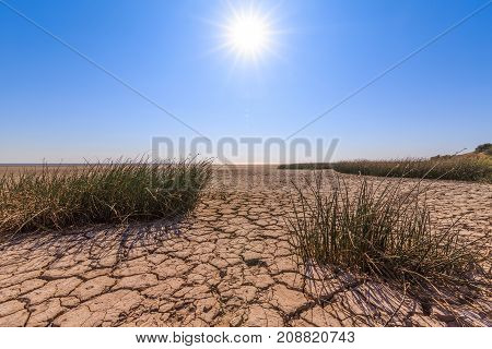 Cracked land scanty vegetation blue sky and bright sun as a symbol of drought