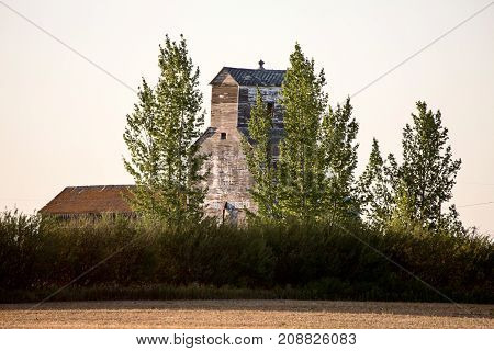 Grain Elevator Saskatchewan Canada scenic prairie trees