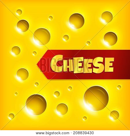 Cheese slice texture yellow background Vector Illustration.