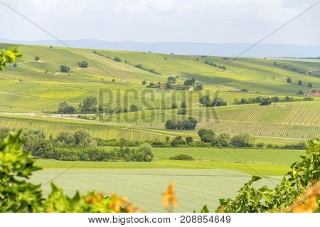 winegrowing scenery around Loerzweiler in the Rhineland-Palatinate in Germany at spring time
