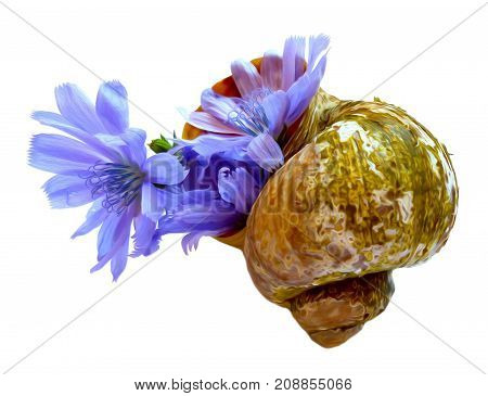 Drawing Blue Chicory Flower In The Shell Isolated On White