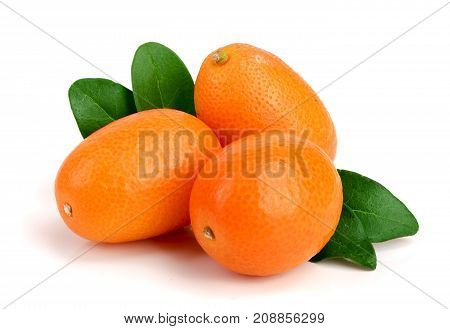 Cumquat or kumquat with leaf isolated on white background close up.