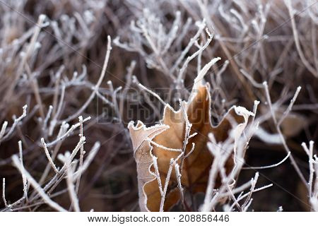 Ice cold fields in the winter in middle europa