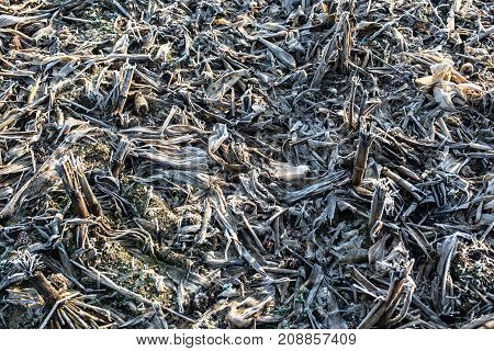 Ice cold fields in the winter in middle europa