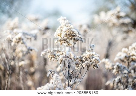Ice cold fields in the winter in middle europa
