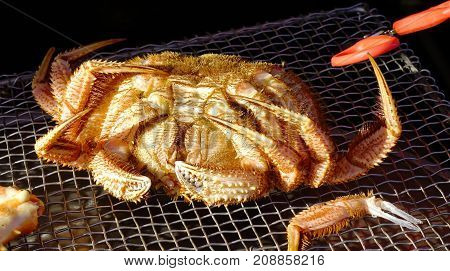 Crab At Asaichi Market In Hakodate, Japan