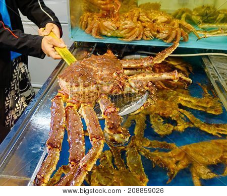 Crab At Asaichi Market In Hakodate, Japan