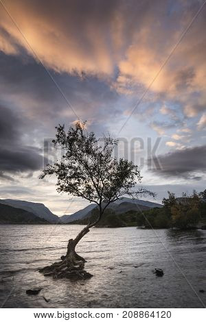 Beautiful Landscape Image Of Llyn Padarn At Sunrise In Autumn In Snowfonia National Park