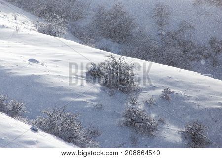 snowy slopes of the Tien Shan Mountains