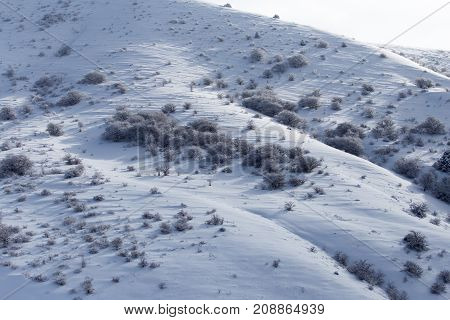 snowy slopes of the Tien Shan Mountains