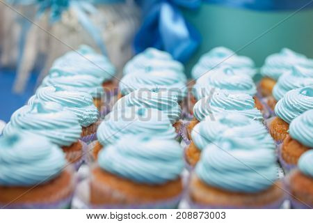 Closeup Of Blue Cupcakes. Selective Focus. Sweet Dessert Tasty Food Concept Muffin Baby Shower Treat