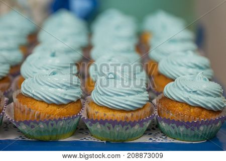 Closeup Of Blue Cupcakes. Selective Focus. Sweet Dessert Tasty Food Concept Muffin Baby Shower Treat