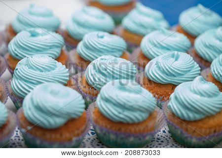 Closeup Of Blue Cupcakes. Selective Focus. Sweet Dessert Tasty Food Concept Muffin Baby Shower Treat