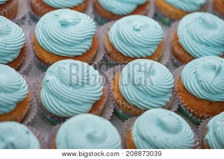 Closeup Of Blue Cupcakes. Selective Focus. Sweet Dessert Tasty Food Concept Muffin Baby Shower Treat