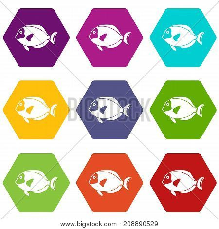 Surgeon fish icon set many color hexahedron isolated on white vector illustration