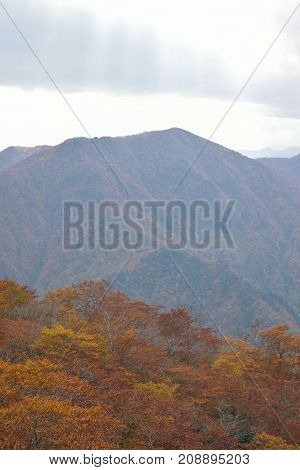 Autumn Landscape of vibrant colorful trees with mountain ranges in Japan