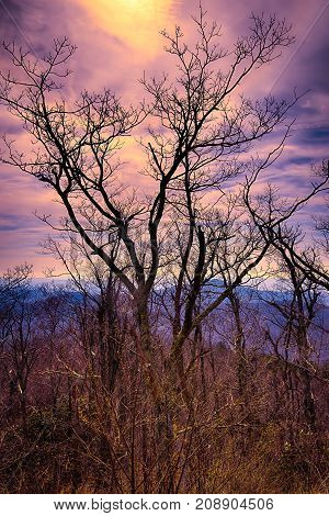 Autumn Scenic Along the Blue Ridge Parkway in the State of North Carolina on a cool, crisp morning