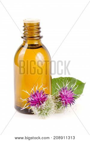 burdock oil in glass bottle and burdock flowers isolated on white background.