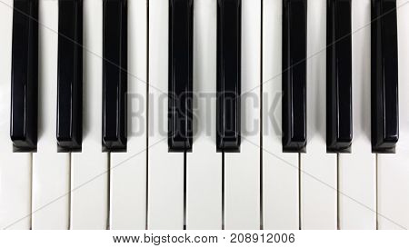 Black and white keys of the keyboard synthesizer