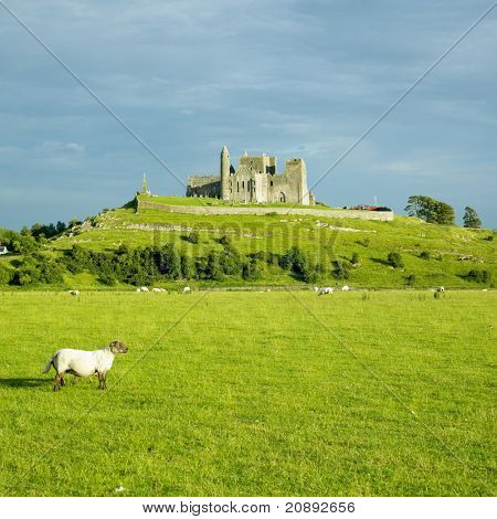 Rock of Cashel, County Tipperary, Irland