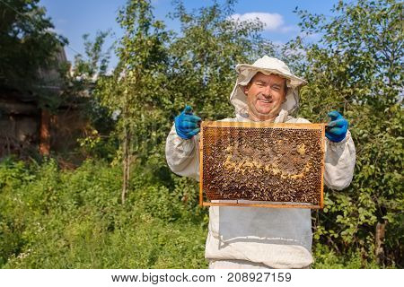 closeup portrait of beekeeper holding a honeycomb full of bees. Beekeeper in protective workwear inspecting honeycomb frame at apiary. Beekeeping concept. Beekeeper harvesting honey