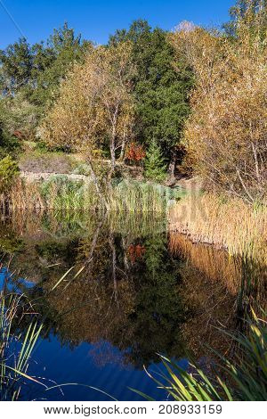 A calm garden reflecting pond in a large garden during the fall season in California.