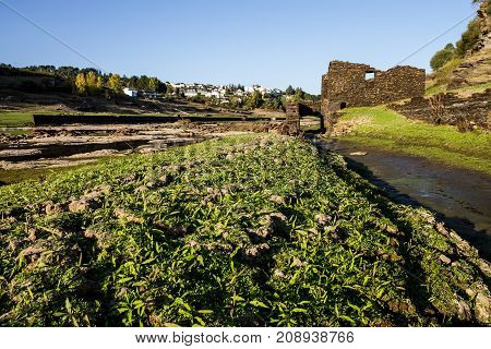Grass and ruins on the bottom of a dry reservoir in Portomarin Northern Spain.