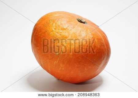 one pumpkin can be ingredient of many vegetarian recipes