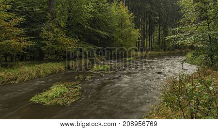Chribska Kamenice river in national park Ceske Svycarsko in autumn morning