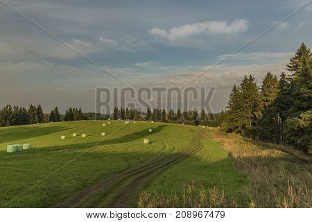 Color evening in Slavkovsky les national park in autumn time