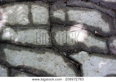 cracks among the stones on the surface of the mountain. limestone in a yew-boxwood forest. Krasnodar region. puzzles of nature